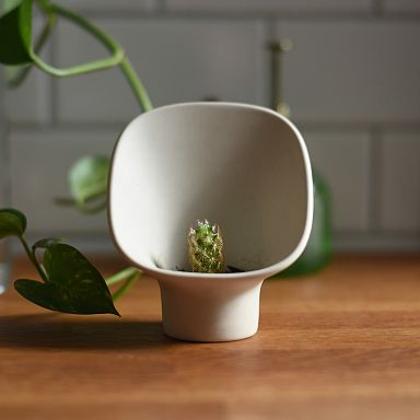 Misewell Chamber - Tealight Candle Holder & Planter